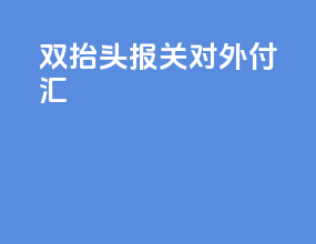 双抬头报关对外付汇