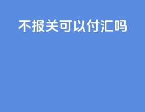 不报关可以付汇吗