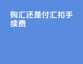 购汇还是付汇扣手续费