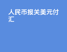 人民币报关美元付汇