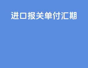 进口报关单付汇期