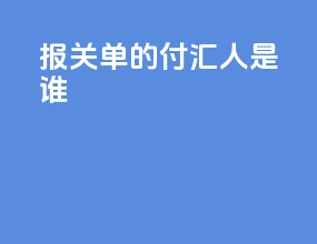 报关单的付汇人是谁