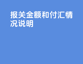 报关金额和付汇情况说明