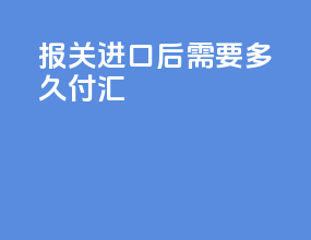 报关进口后需要多久付汇