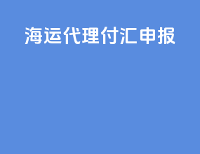 海运代理付汇申报