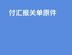 付汇 报关单原件