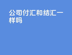 公司付汇和结汇一样吗