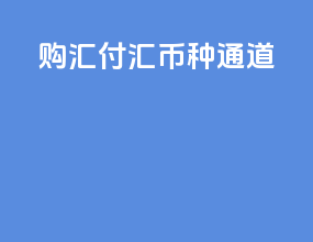 购汇付汇币种通道