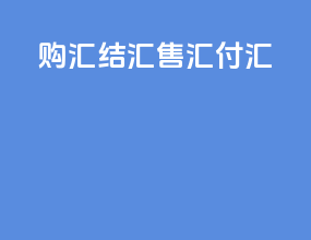 购汇结汇售汇付汇