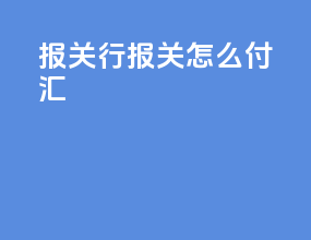 报关行报关怎么付汇