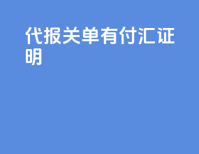 代报关单有付汇证明