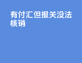 有付汇但报关没法核销