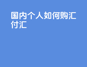 国内个人如何购汇付汇