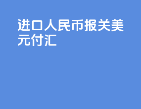 进口人民币报关美元付汇