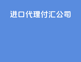 进口代理付汇公司