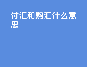 付汇和购汇什么意思