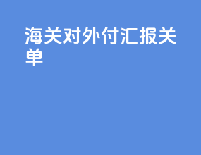 海关对外付汇报关单