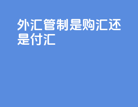 外汇管制是购汇还是付汇