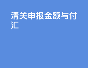清关申报金额与付汇