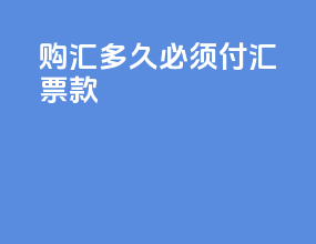 购汇多久必须付汇票款