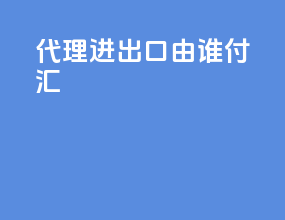 代理进出口由谁付汇