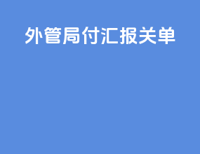外管局付汇报关单