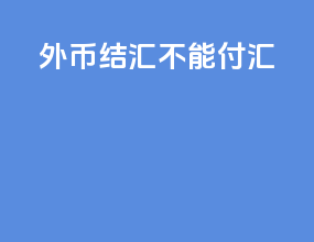 外币结汇不能付汇