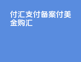 付汇支付备案付美金购汇