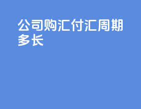 公司购汇付汇周期多长