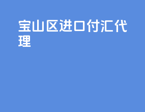 宝山区进口付汇代理