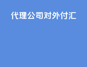 代理公司对外付汇