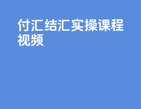 付汇结汇实操课程视频