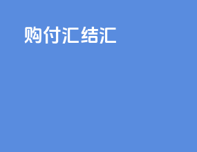购付汇 结汇