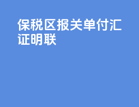 保税区报关单付汇证明联