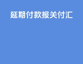 延期付款报关付汇