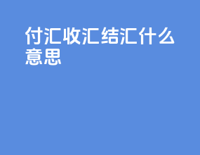 付汇收汇结汇什么意思