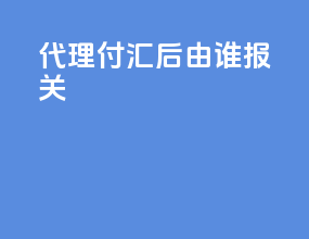 代理付汇后由谁报关