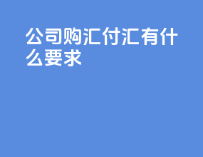 公司购汇付汇有什么要求