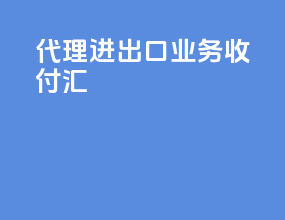 代理进出口业务收付汇