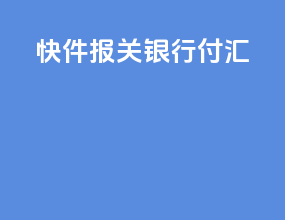 快件报关 银行付汇