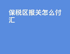 保税区报关怎么付汇