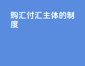 购汇付汇主体的制度