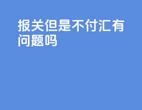报关但是不付汇有问题吗