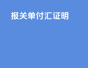 报关单付汇证明