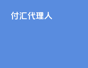 付汇代理人