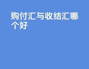 购付汇与收结汇哪个好