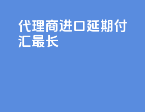代理商进口延期付汇最长
