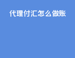 代理付汇怎么做账
