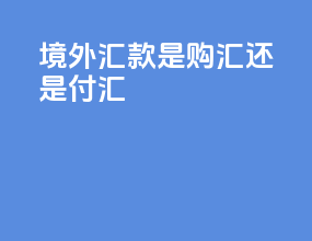 境外汇款是购汇还是付汇
