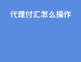 代理付汇怎么操作